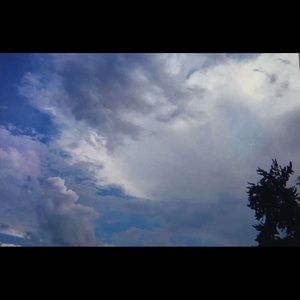 Meet your Posher, Amelia